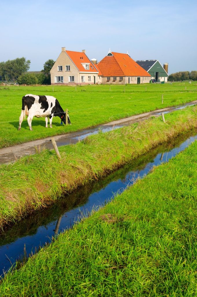 Een bv exploiteerde een veehouderij. De bv heeft in 2012 een woning gekocht voor haar dga, die woonde in de bedrijfswoning bij de veehouderij. De koopsom bedroeg &euro; 637.500. Het pand is gekocht zodat de bedrijfswoning beschikbaar kwam voor de dochter van de dga. De dochter van de dga was ook