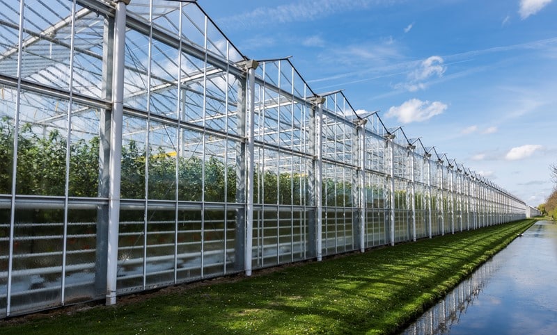 Een bv die een kwekerij voor pot- en groenteplanten exploiteert, is in 2020 eigenaar en gebruiker van twee glastuinbouwlocaties. De twee locaties liggen meer dan twee kilometer van elkaar, gemeten over de weg. De gemeente waardeert daarom beide locaties afzonderlijk en legt op basis hiervan aparte
