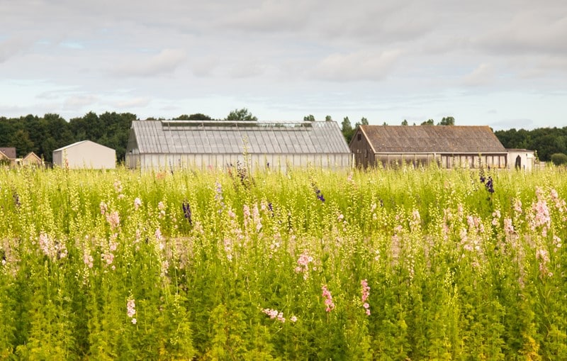 Een man koopt een boerderij met agrarische bestemming. Hij regelt een bestemmingswijziging en splitst het perceel in tweeën. De ene helft verkoopt hij met winst, de andere houdt hij. De inspecteur belast de waardestijging als resultaat uit overige werkzaamheden. Het hof is het daarmee eens. Wie