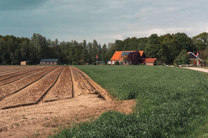 Een man werkt als belastingadviseur en participeert daarnaast in de agrarische maatschap van zijn ouders. In 2015 koopt hij de ouderlijke woning voor &euro; 315.000. Hij leent het volledige bedrag van zijn ouders. De afspraken: 9% rente per jaar, een looptijd van tien jaar, geen aflossing en geen